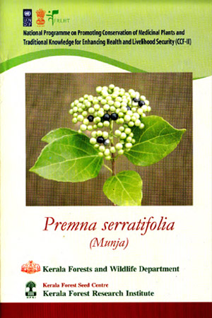 Premna serratifolia (Munja) .Medicinal plant